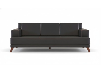 Ledersofa Modern 3-Sitzer Schwarz Einfarbig Couch Polster Kissen Holz