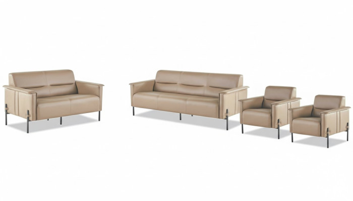 Komplett Modern Sofa-Set 3-Sitzer 2-Sitzer Sessel Beige Ledersofa Holz