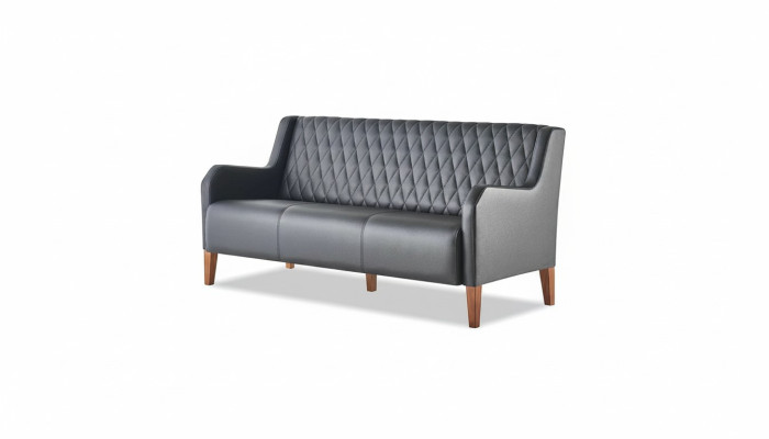 Ledersofa Sofa 3-Sitzer Schwarz Sitzmöbel Modern Leder Holz Dreisitzig