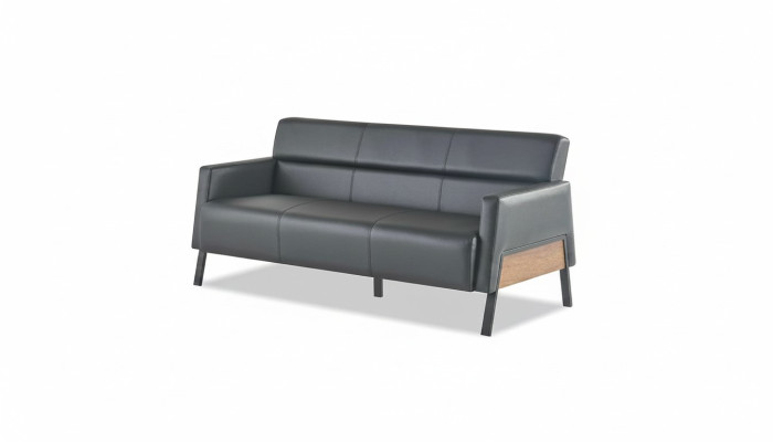 Ledesofa Sofa Schwarz 3-Sitzer Dreisitzig Leder Modern Holz Edelstahl