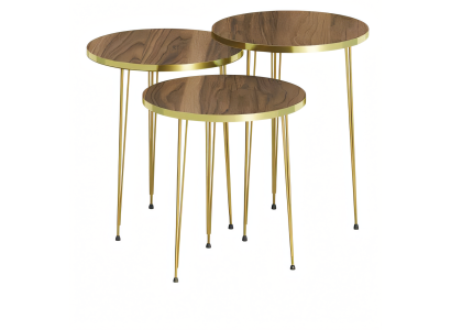Elegantes braunes Couchtisch-Set aus Holz und Edelstahl